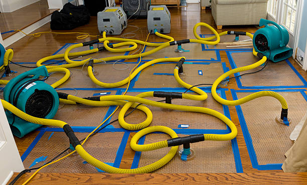 Professional Sewage Cleanup technician working in Wyoming, PA
